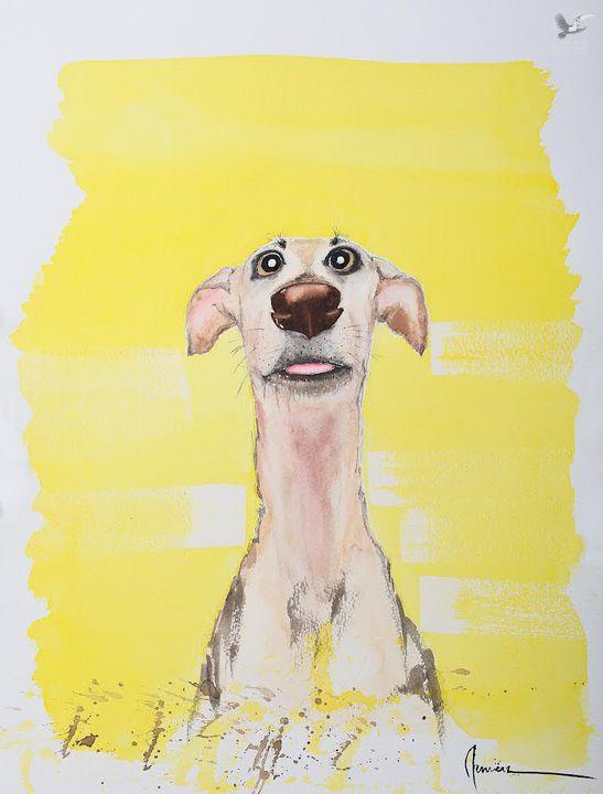 Yellow dog (Желтая собака)