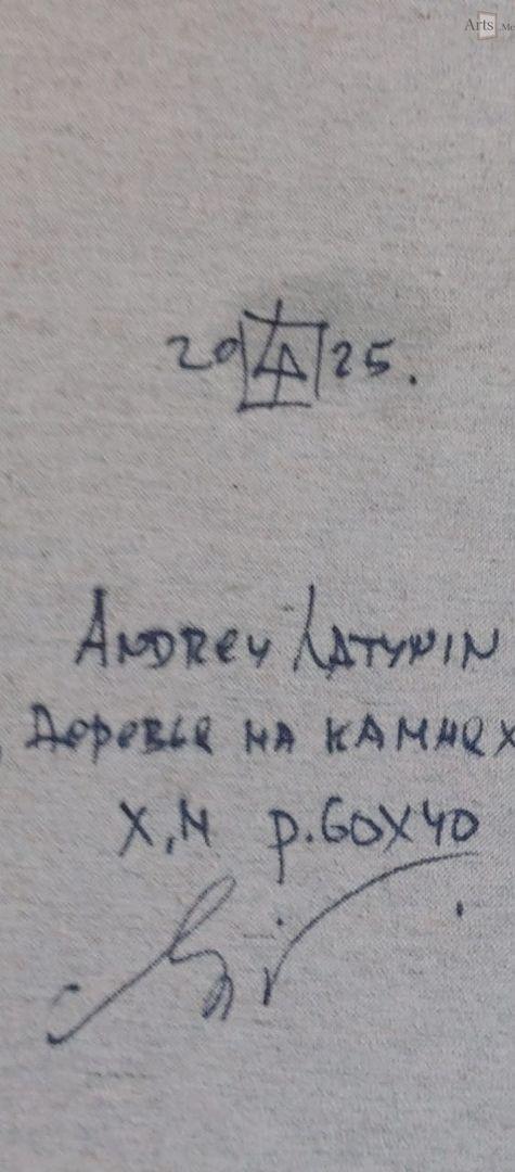 Деревья на камнях