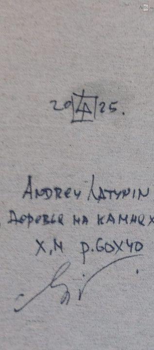 Деревья на камнях