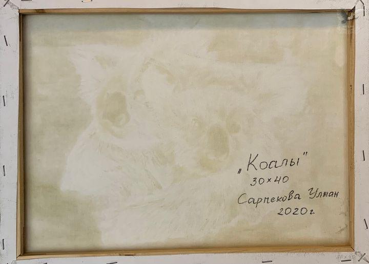 Коалы