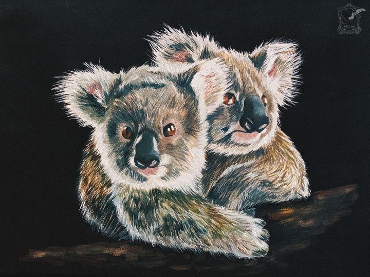 Коалы
