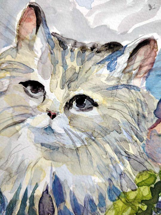 Кошка и цветы