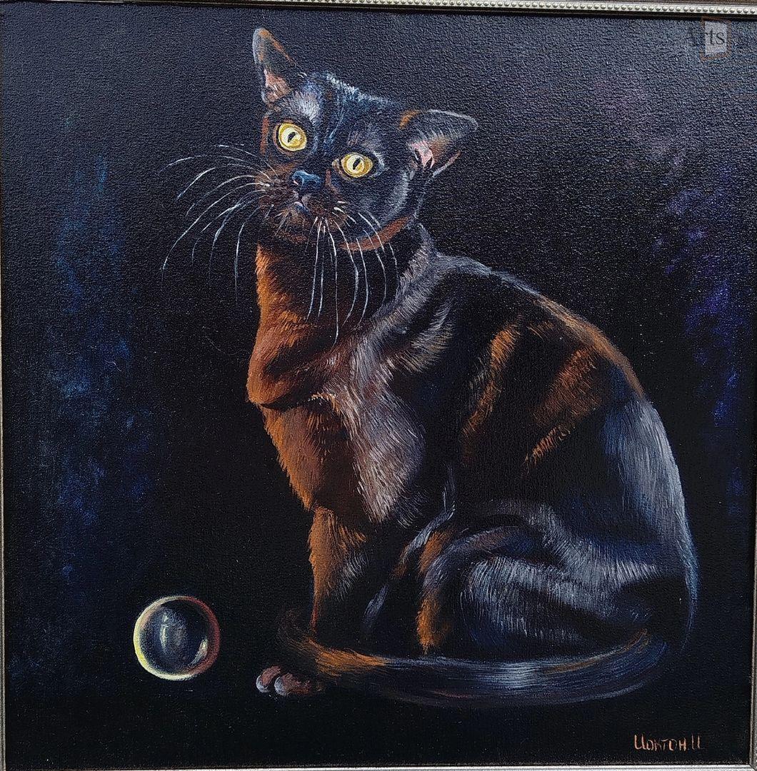 " Кот Конфуция "