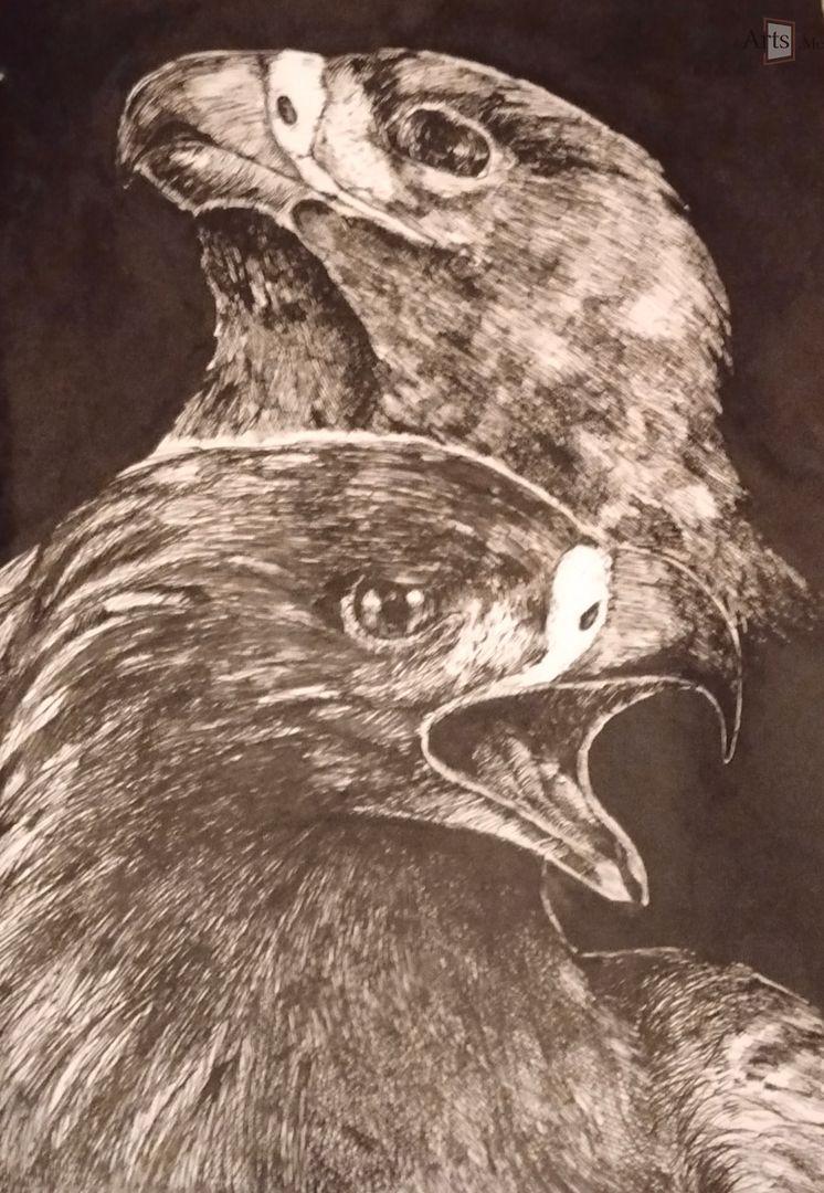 Орлы